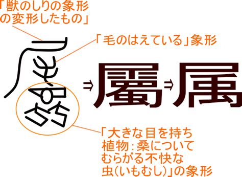 属 意味|「属/屬」という漢字の意味・成り立ち・読み方・画。